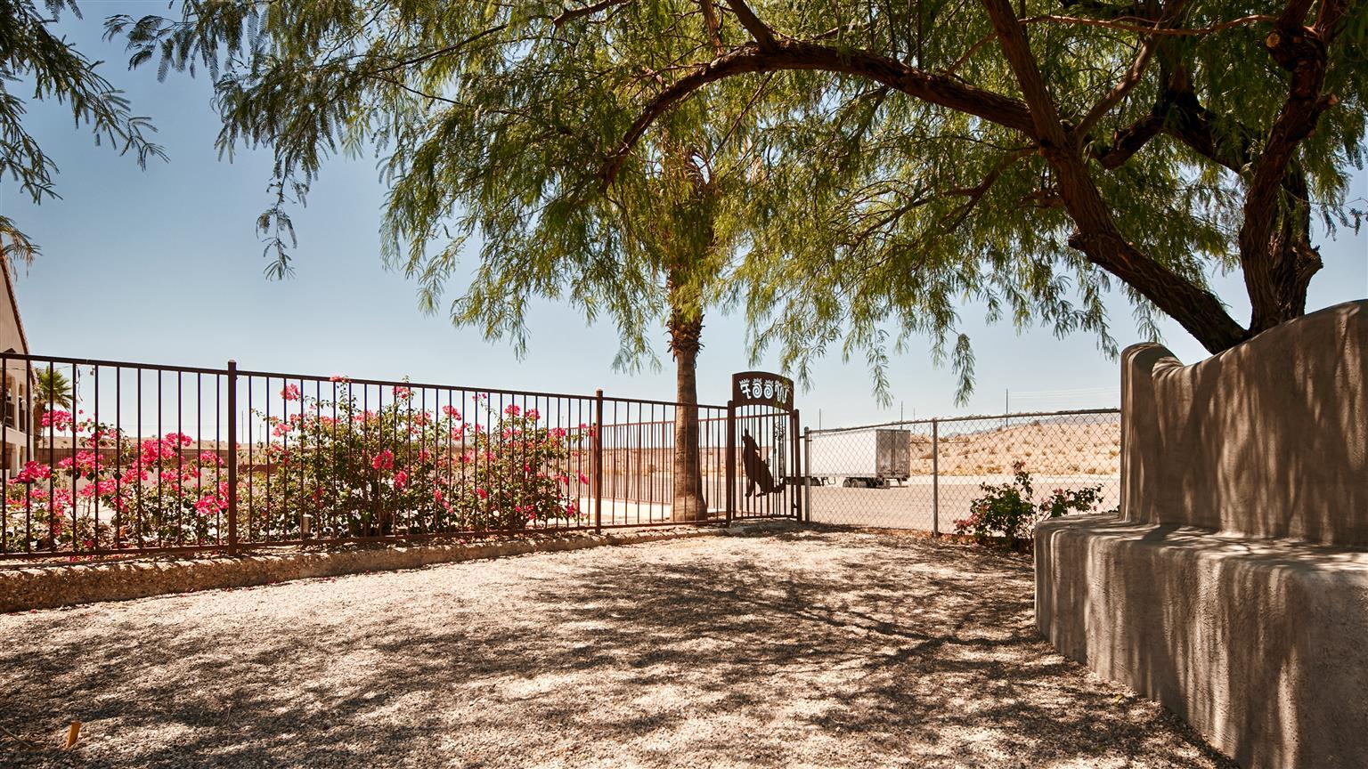 Best Western Colorado River Inn Needles Ngoại thất bức ảnh